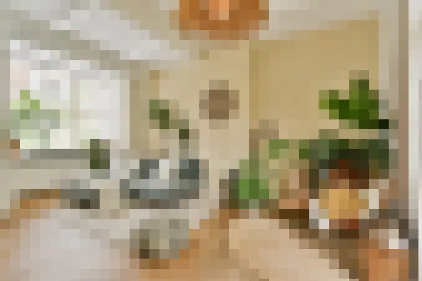 Graaf Jan van Nassaustraat 4 Rotterdam thumbnail 10