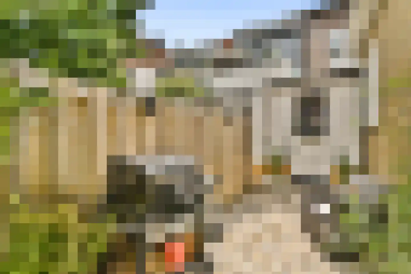 Graaf Jan van Nassaustraat 4 Rotterdam thumbnail 13