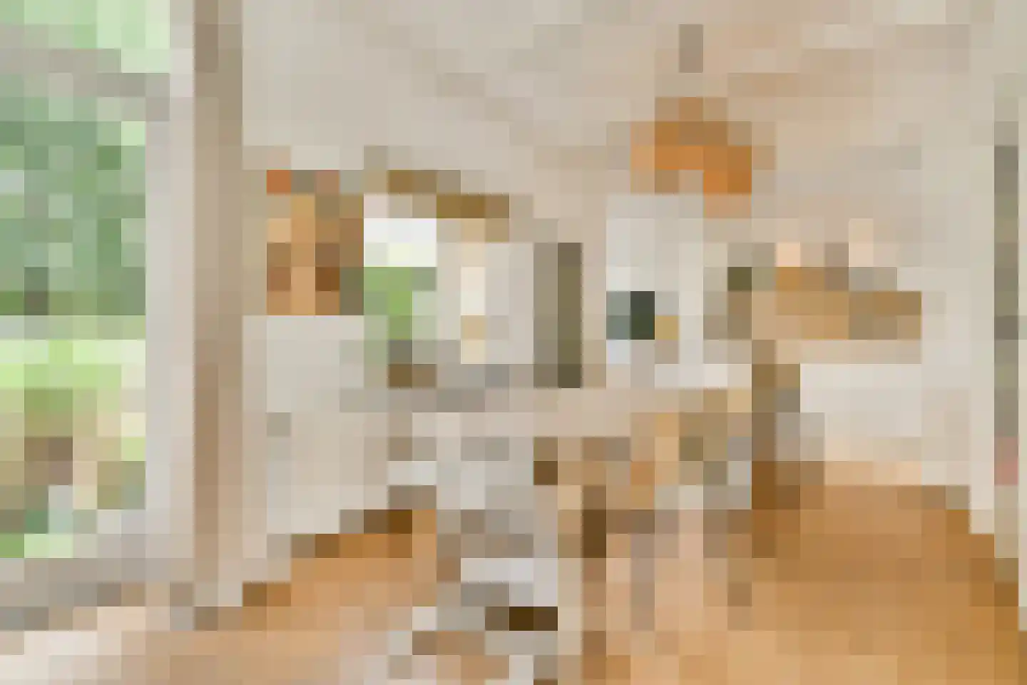 Graaf Jan van Nassaustraat 4 Rotterdam thumbnail 15