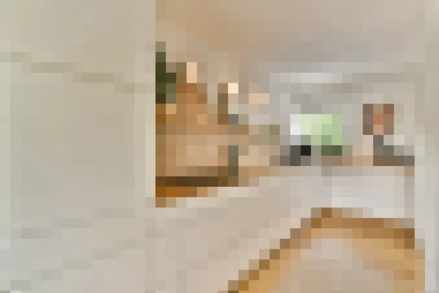 Graaf Jan van Nassaustraat 4 Rotterdam thumbnail 16
