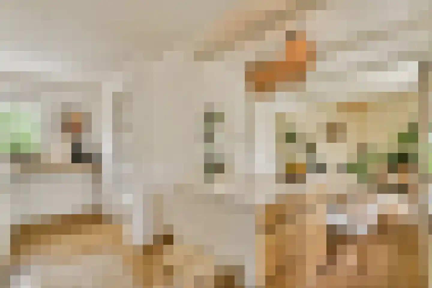Graaf Jan van Nassaustraat 4 Rotterdam thumbnail 18