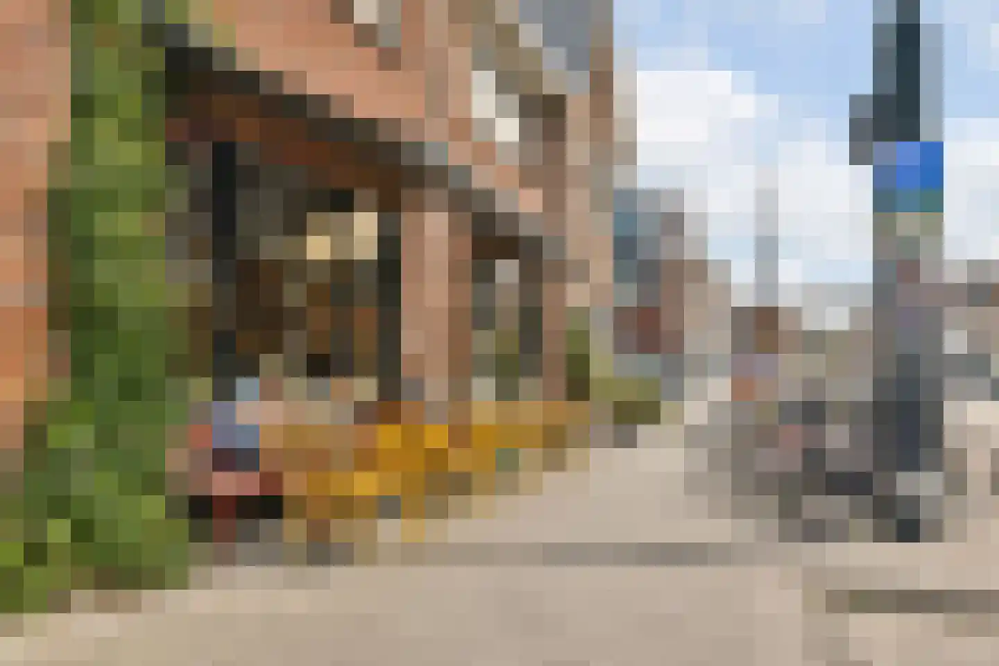 Graaf Jan van Nassaustraat 4 Rotterdam thumbnail 32