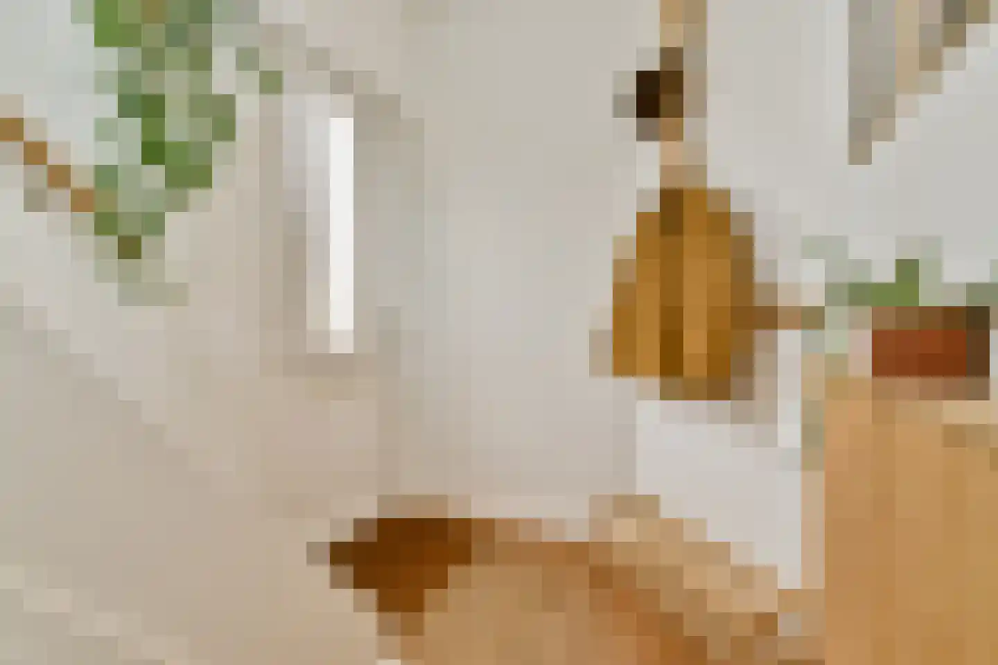 Graaf Jan van Nassaustraat 4 Rotterdam thumbnail 7