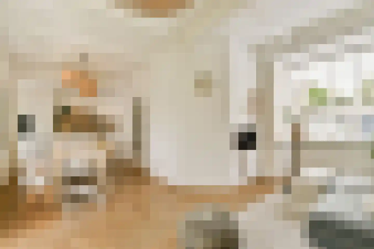 Graaf Jan van Nassaustraat 4 Rotterdam thumbnail 9