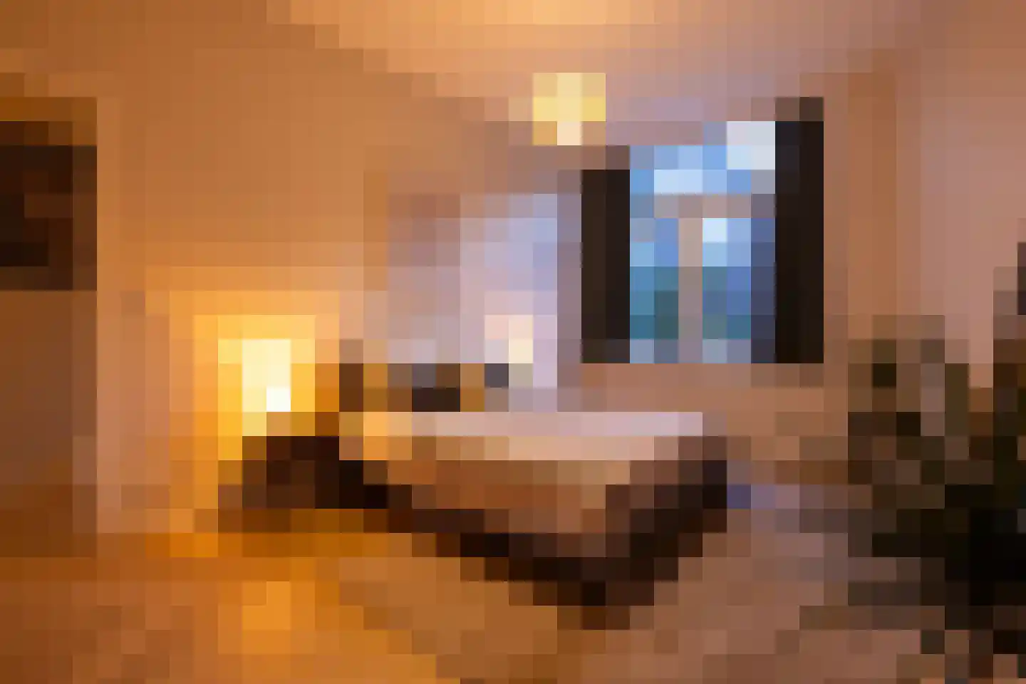 Graaf Jan van Nassaustraat 8 A L Rotterdam thumbnail 23