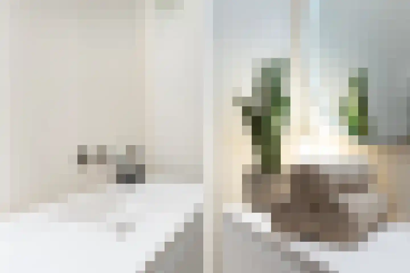 Graaf Jan van Nassaustraat 8 A Rotterdam thumbnail 35
