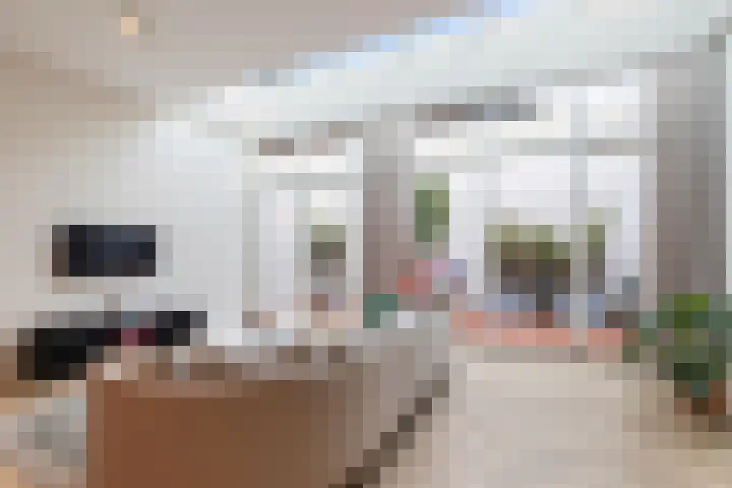 Graaf Jan van Nassaustraat 8 A Rotterdam thumbnail 5