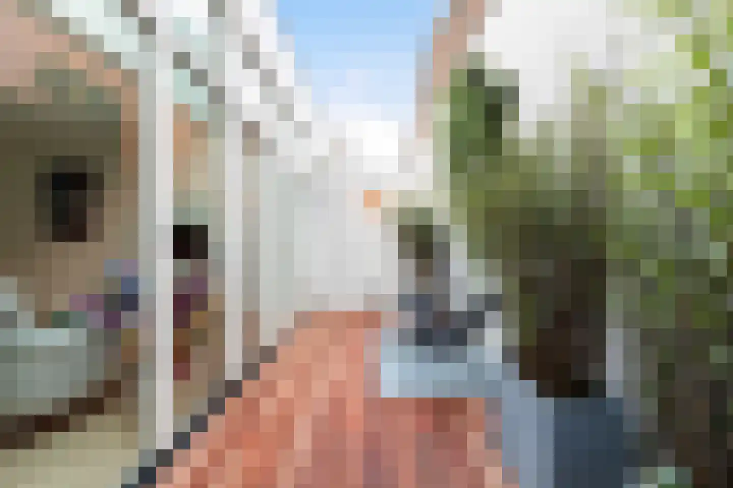 Graaf Jan van Nassaustraat 8 A Rotterdam thumbnail 7