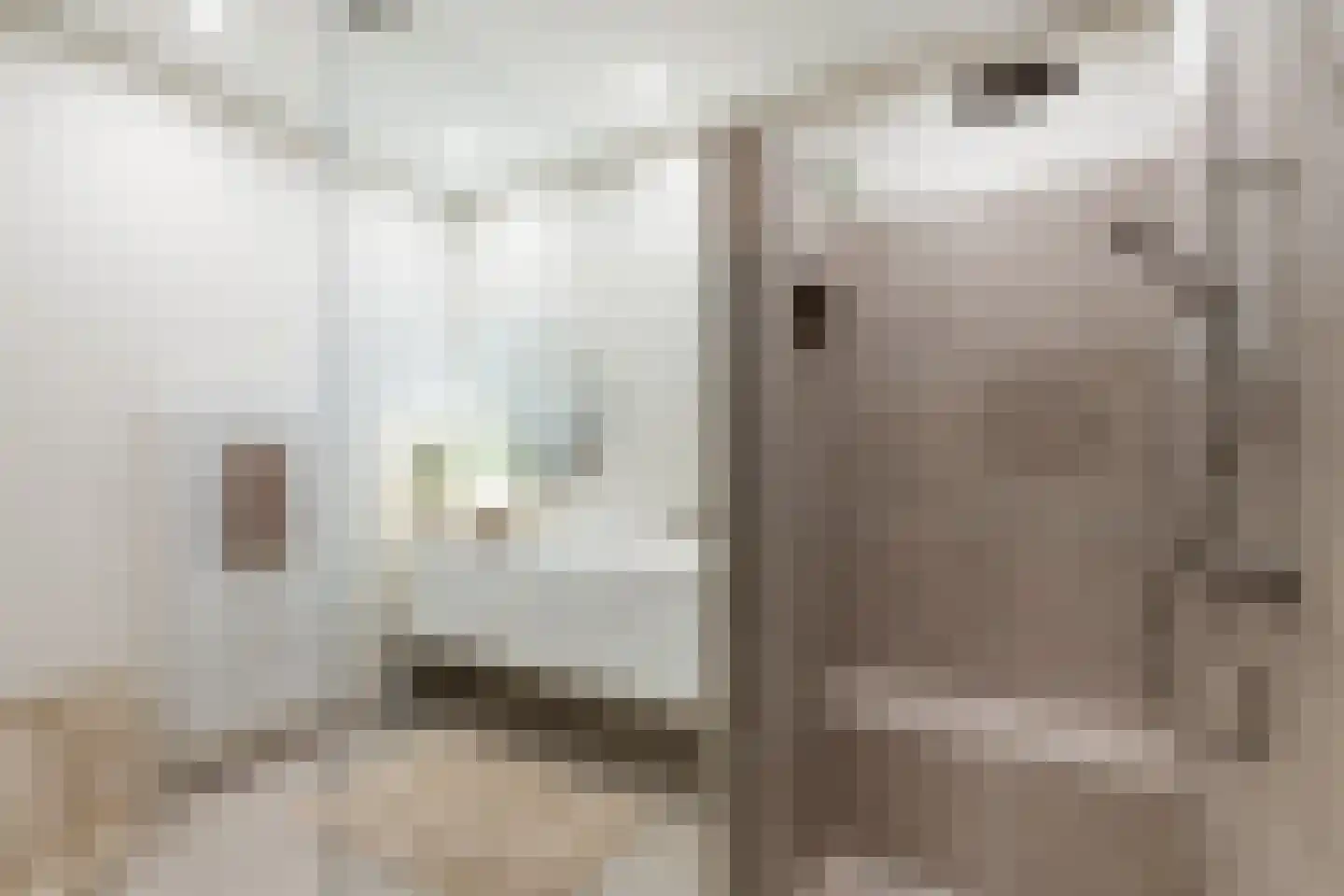 Graaf Jan van Nassaustraat 8 B Rotterdam thumbnail 33