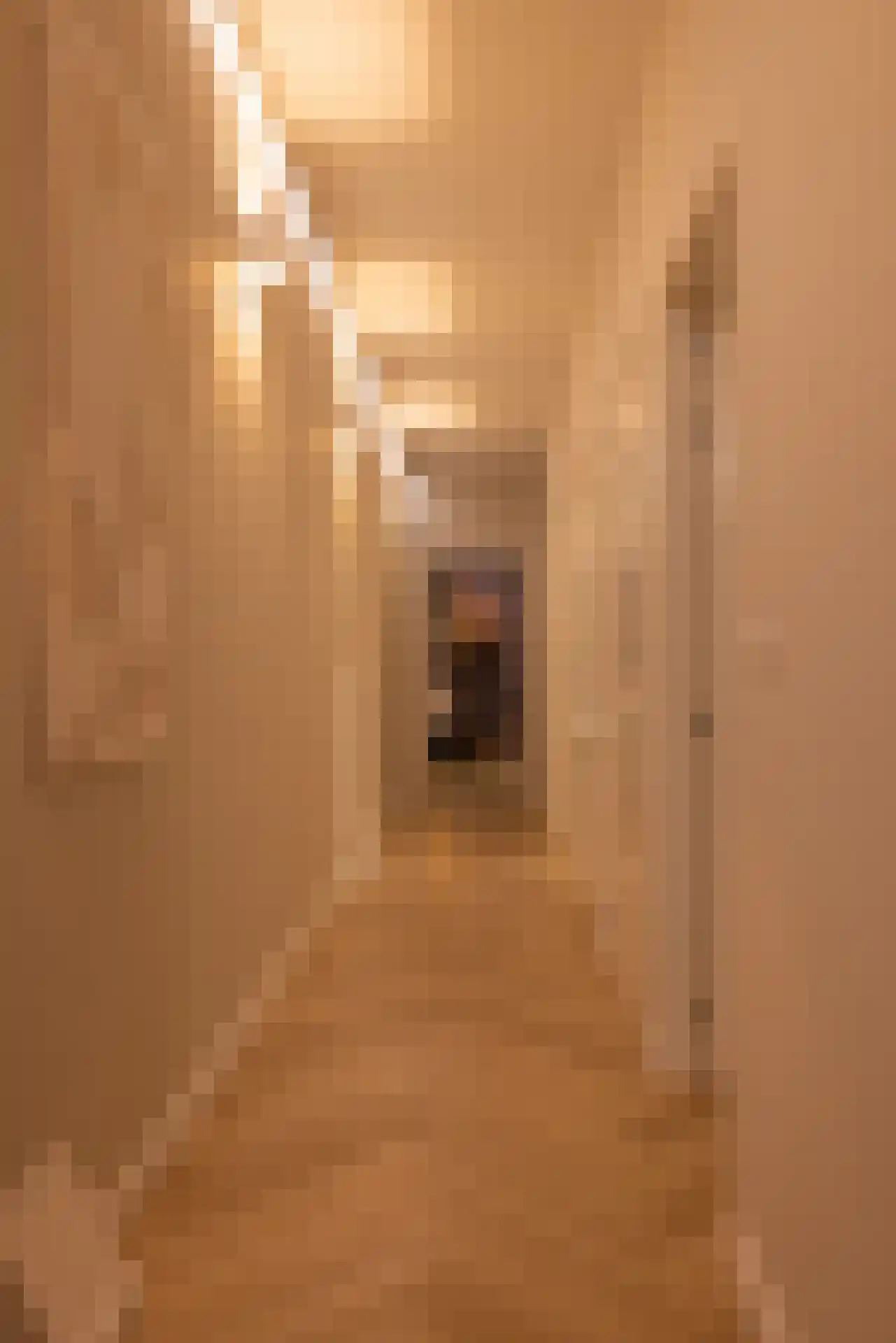Graaf Jan van Nassaustraat 8 B Rotterdam thumbnail 33