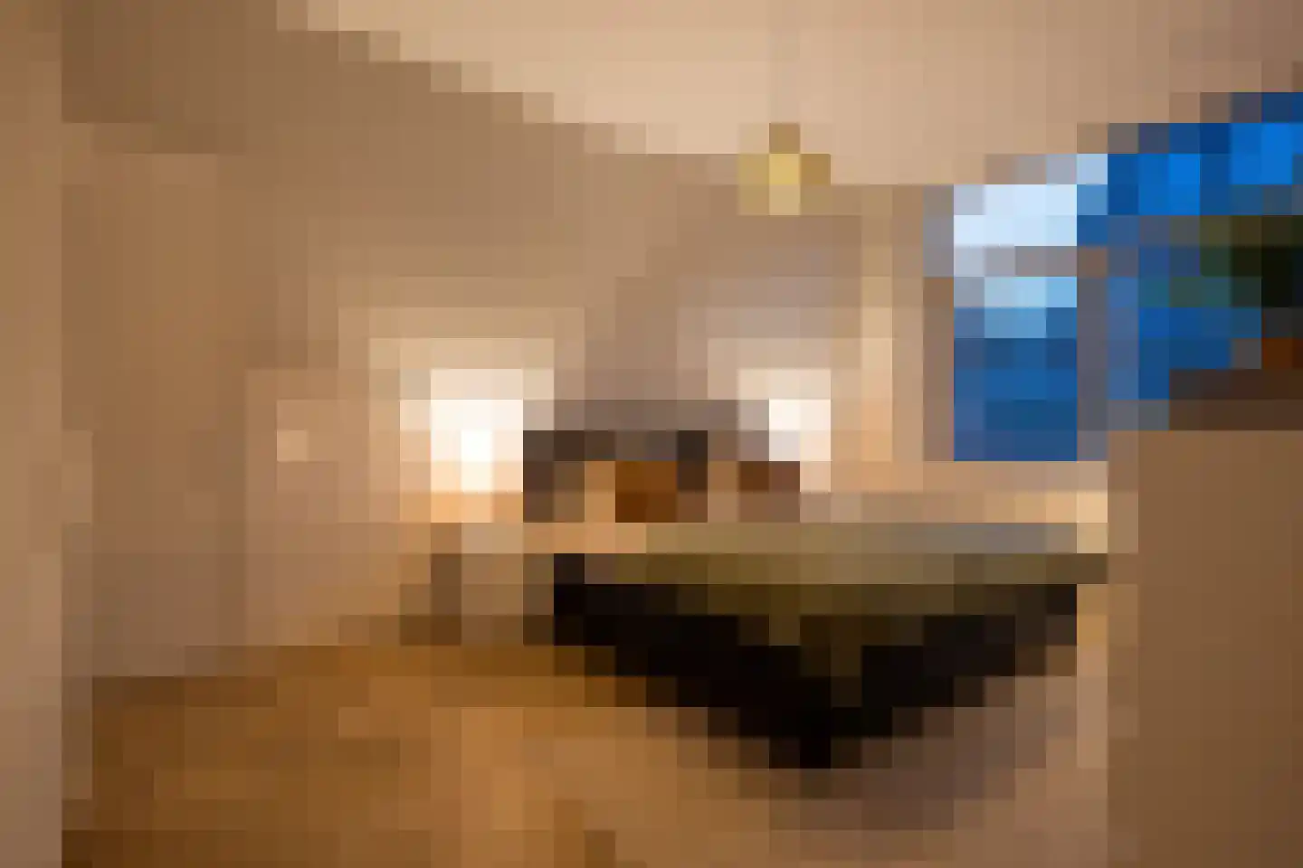 Graaf Jan van Nassaustraat 8 B Rotterdam thumbnail 35