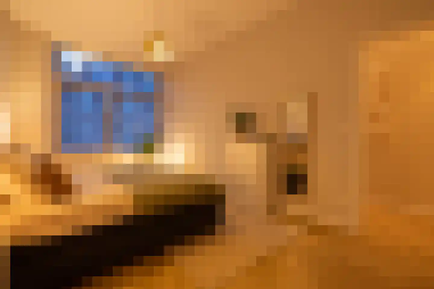 Graaf Jan van Nassaustraat 8 B Rotterdam thumbnail 36