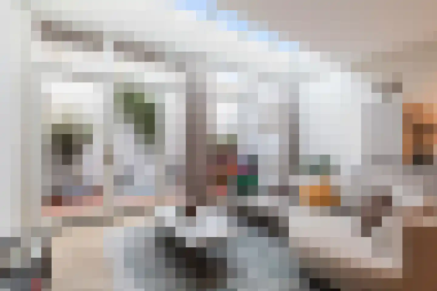 Graaf Jan van Nassaustraat 8 B Rotterdam thumbnail 6