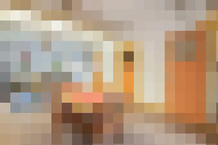 Graaf Jan van Nassaustraat 9 Rotterdam thumbnail 18