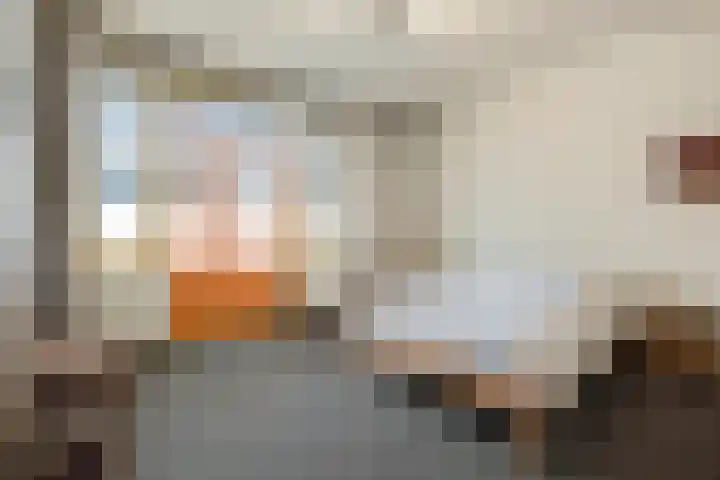 Graaf Jan van Nassaustraat 9 Rotterdam thumbnail 36