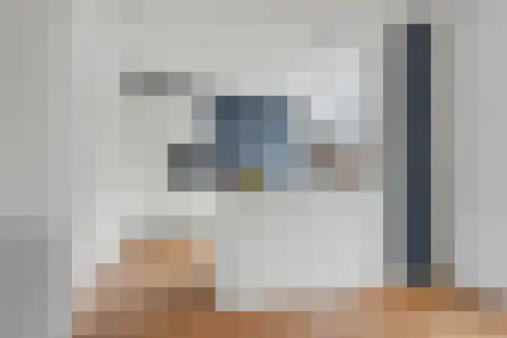 Graaf Jankade 14 Alkmaar thumbnail 11