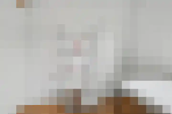 Graaf Jankade 14 Alkmaar thumbnail 24