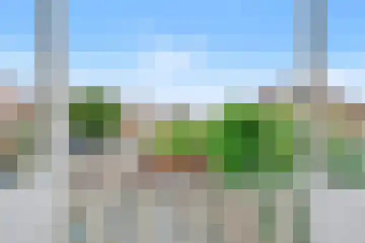 Graaf Jankade 14 Alkmaar thumbnail 27