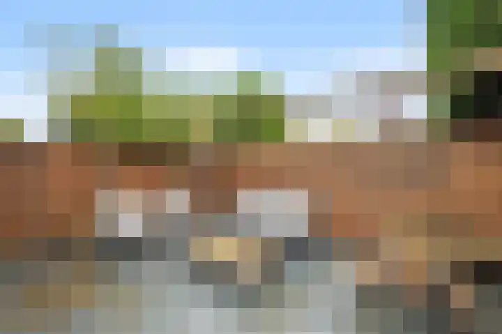 Graaf Jankade 14 Alkmaar thumbnail 41