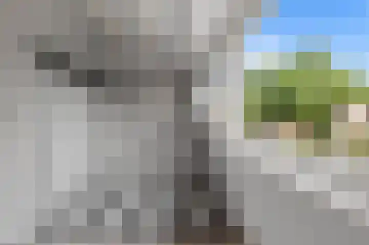 Graaf Janlaan 1 Amstelveen thumbnail 14