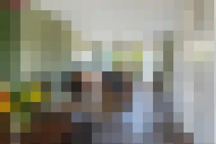 Graaf Janlaan 10 Leidschendam thumbnail 10