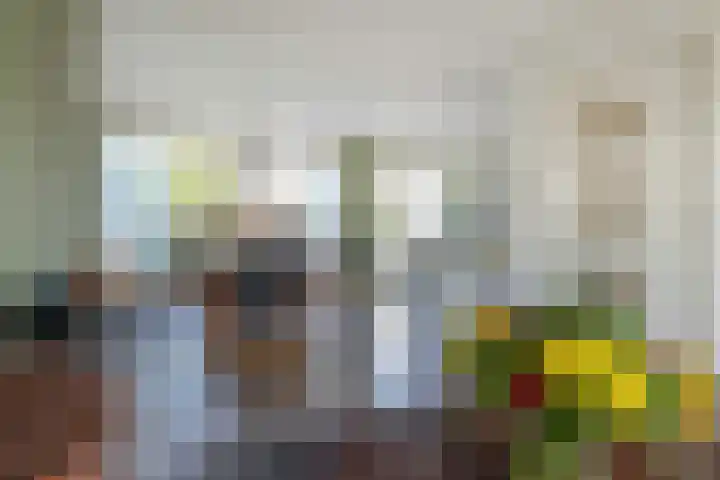 Graaf Janlaan 10 Leidschendam thumbnail 11