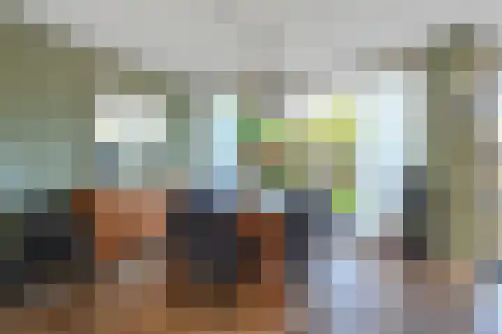 Graaf Janlaan 10 Leidschendam thumbnail 12