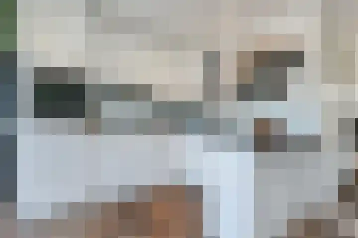 Graaf Janlaan 10 Leidschendam thumbnail 17