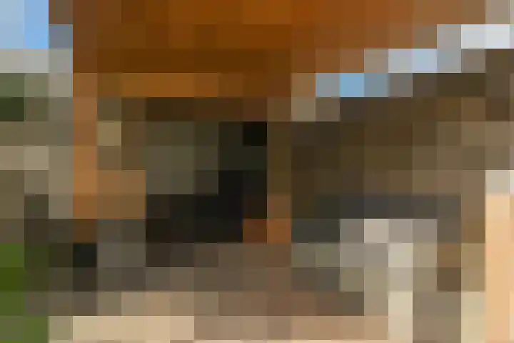 Graaf Janlaan 10 Leidschendam thumbnail 39