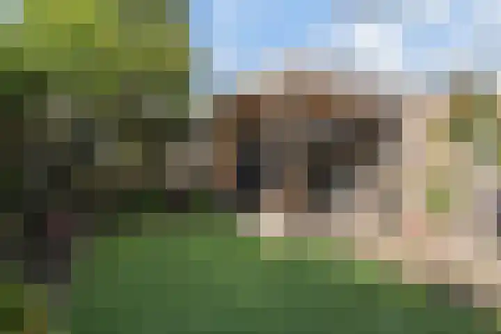 Graaf Janlaan 10 Leidschendam thumbnail 42