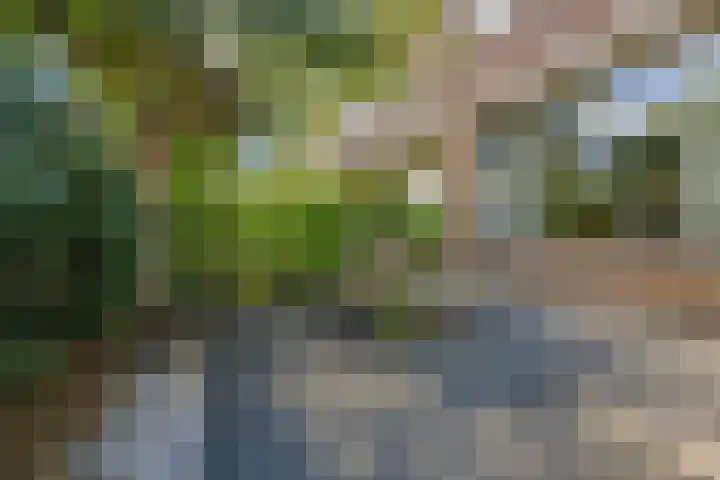 Graaf Janlaan 10 Leidschendam thumbnail 5