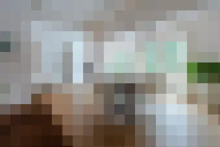 Graaf Janlaan 27 Zeist thumbnail 10
