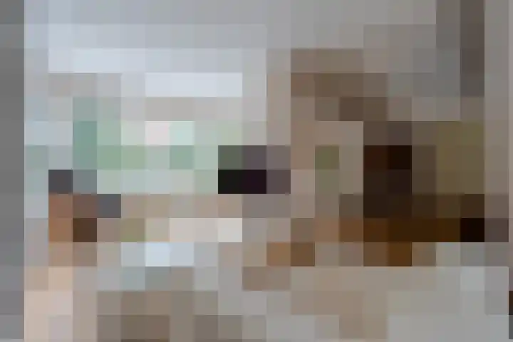 Graaf Janlaan 27 Zeist thumbnail 13