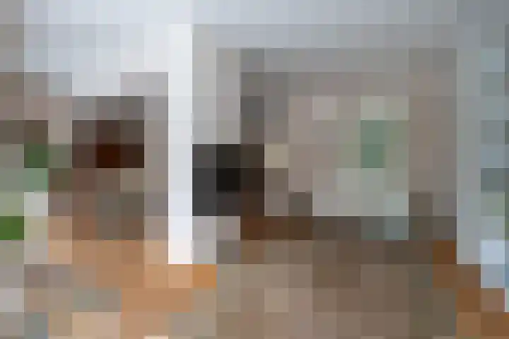 Graaf Janlaan 27 Zeist thumbnail 15