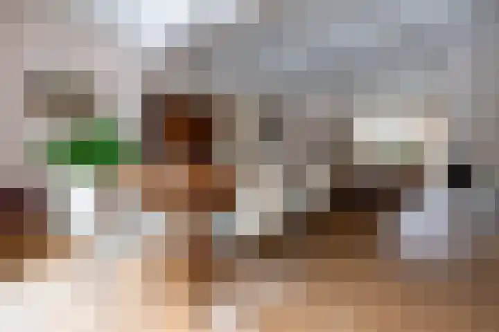 Graaf Janlaan 27 Zeist thumbnail 16