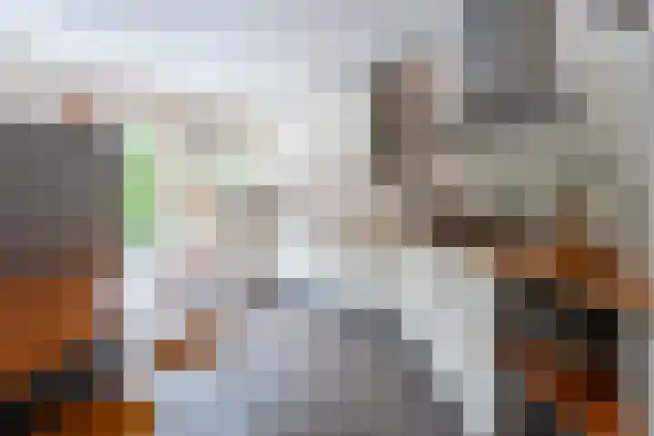 Graaf Janlaan 27 Zeist thumbnail 17