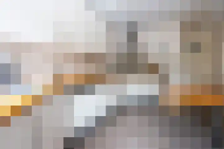 Graaf Janlaan 27 Zeist thumbnail 18