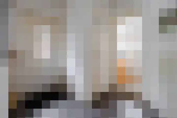 Graaf Janlaan 27 Zeist thumbnail 19