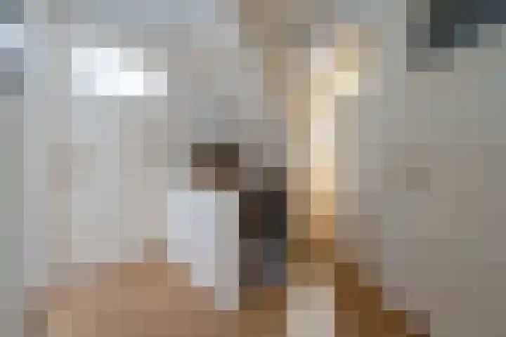 Graaf Janlaan 27 Zeist thumbnail 21
