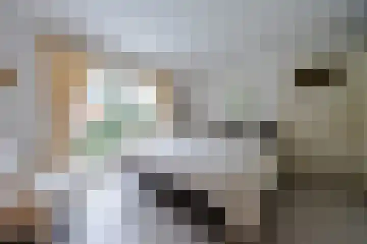 Graaf Janlaan 27 Zeist thumbnail 23