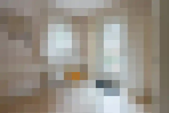 Graaf Janlaan 27 Zeist thumbnail 26