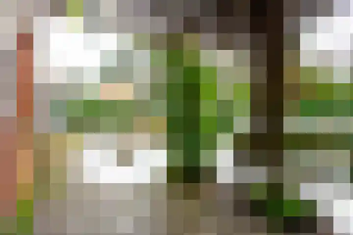 Graaf Janlaan 27 Zeist thumbnail 36