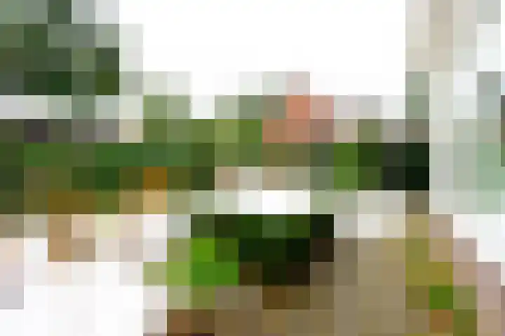 Graaf Janlaan 27 Zeist thumbnail 37