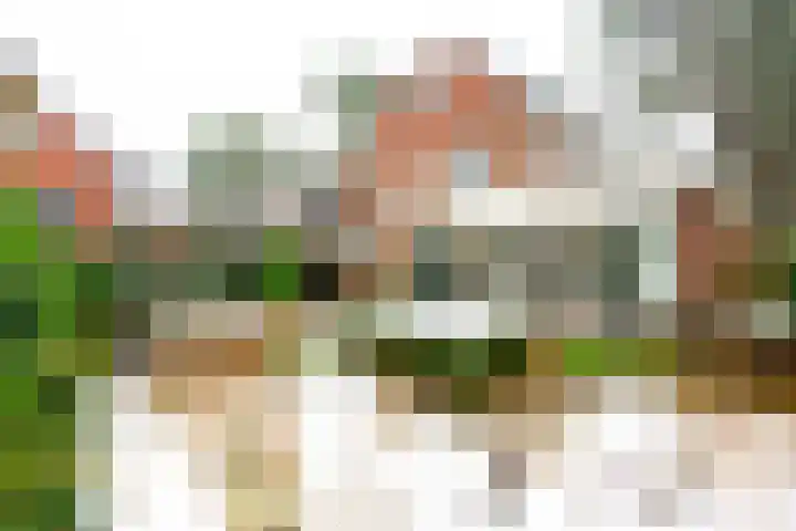 Graaf Janlaan 27 Zeist thumbnail 38