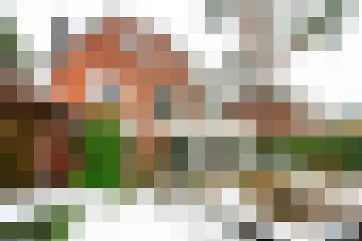 Graaf Janlaan 27 Zeist thumbnail 39