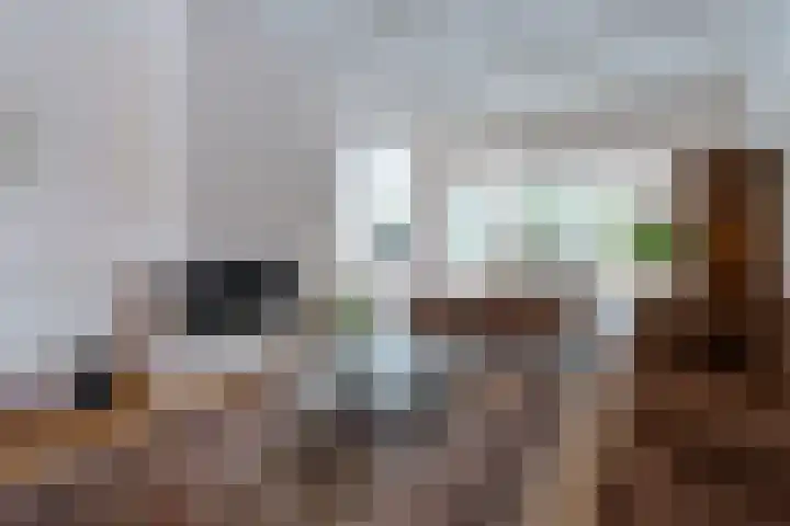 Graaf Janlaan 27 Zeist thumbnail 4