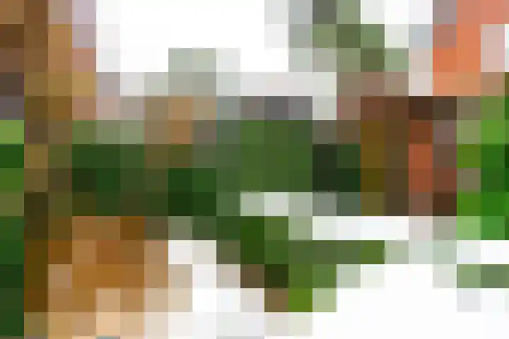 Graaf Janlaan 27 Zeist thumbnail 40
