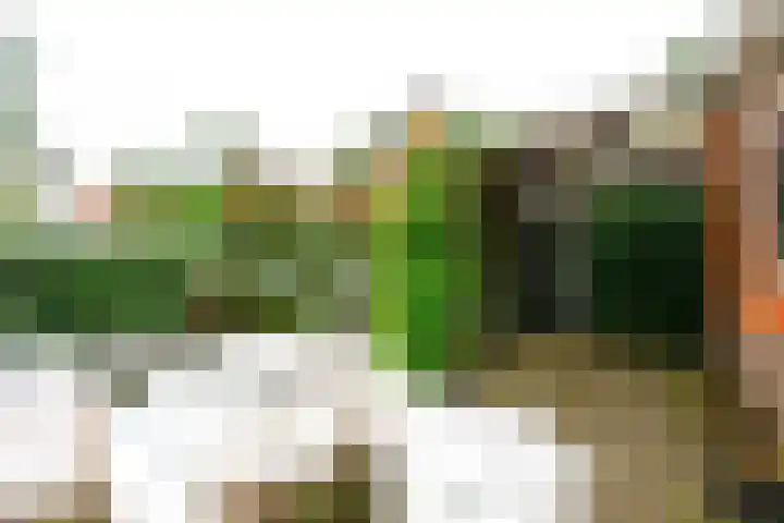 Graaf Janlaan 27 Zeist thumbnail 41
