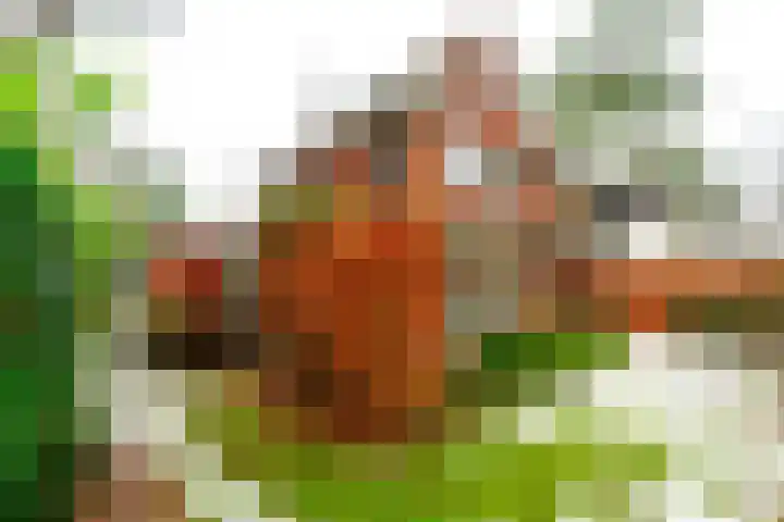 Graaf Janlaan 27 Zeist thumbnail 42