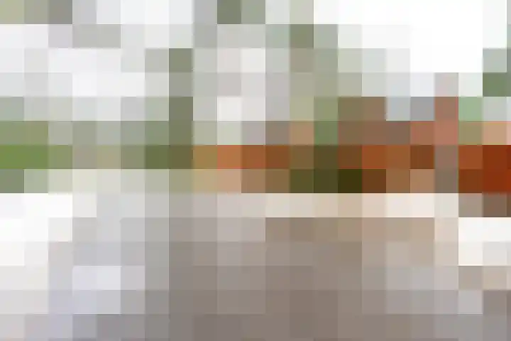 Graaf Janlaan 27 Zeist thumbnail 45